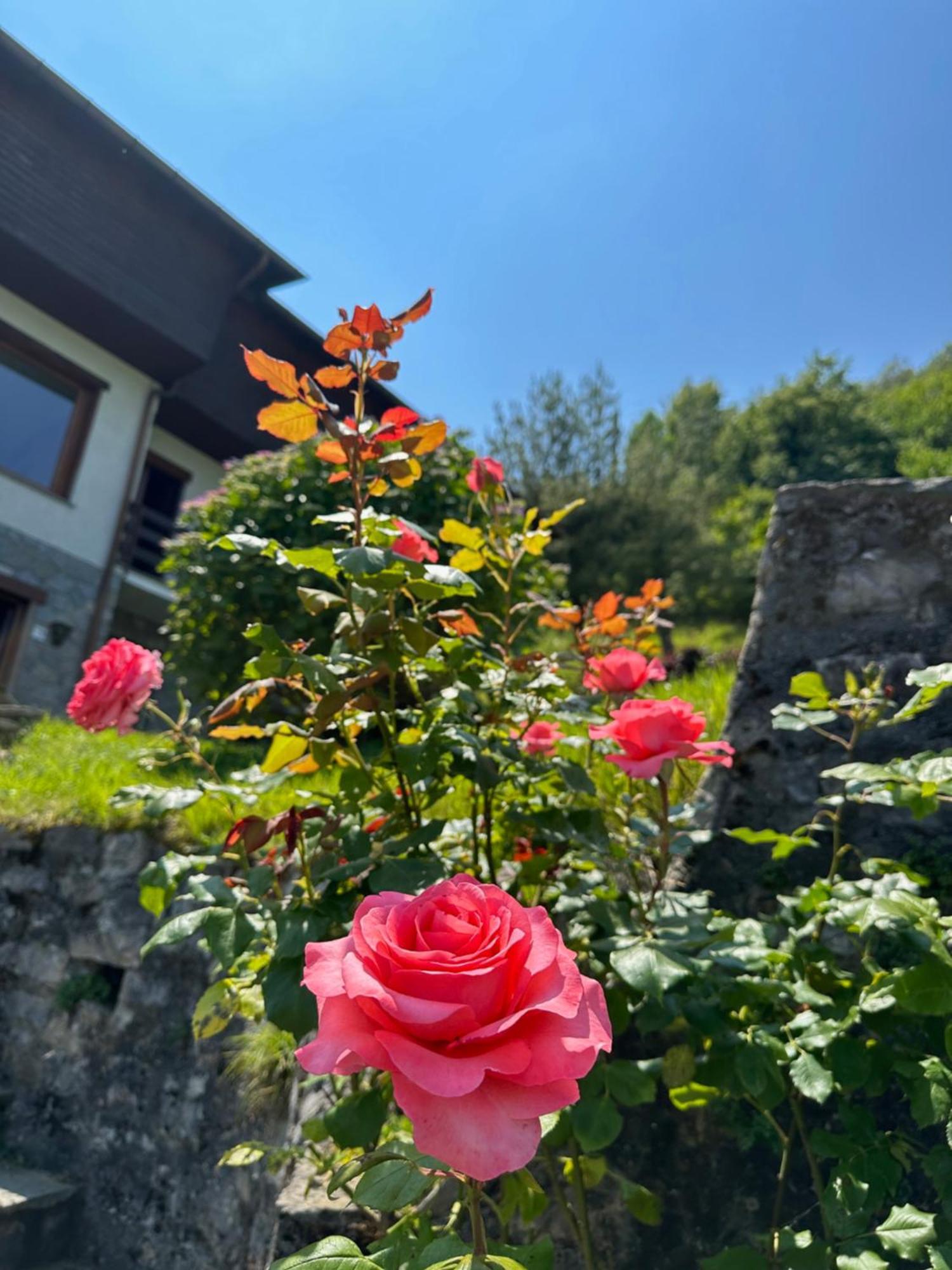 Villa D'Alba Guest House Civenna エクステリア 写真
